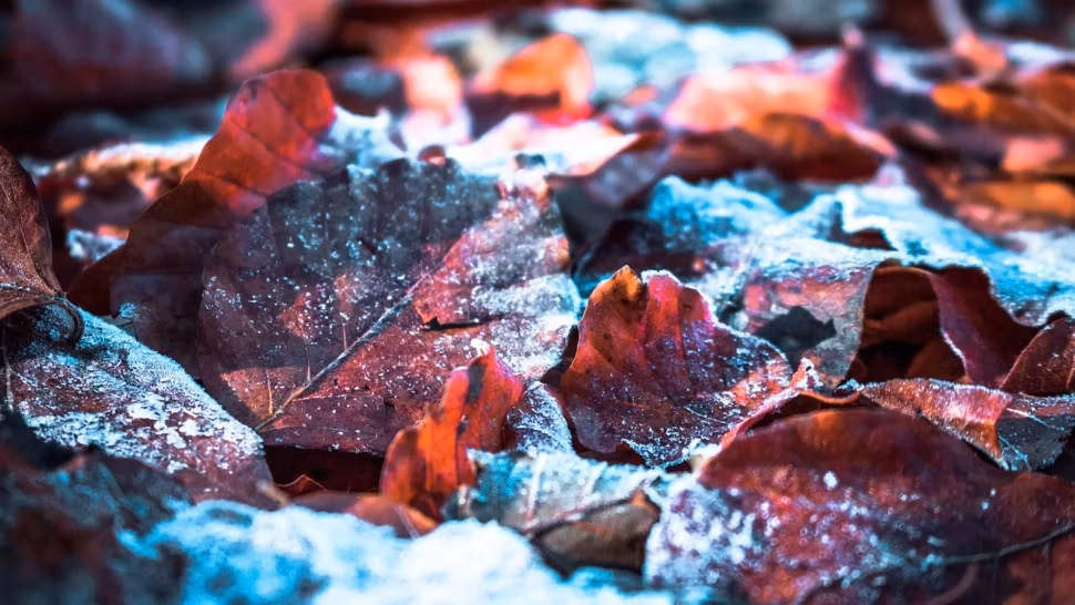 Prognoza meteo 14 octombrie. Temperaturi nefirești, vânt și ninsori la munte