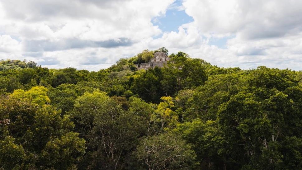 Un oraș antic, de mărimea Bucureștiului, a fost descoperit din întâmplare în jungla mexicană