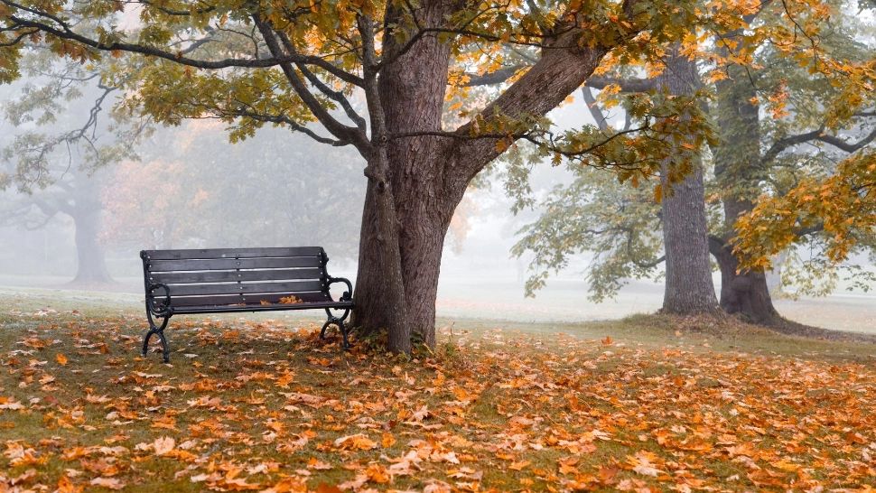 Vremea 23 octombrie. Cer însorit și temperaturi deosebit de calde pentru această perioadă din an, în toată țara: maximele zilei