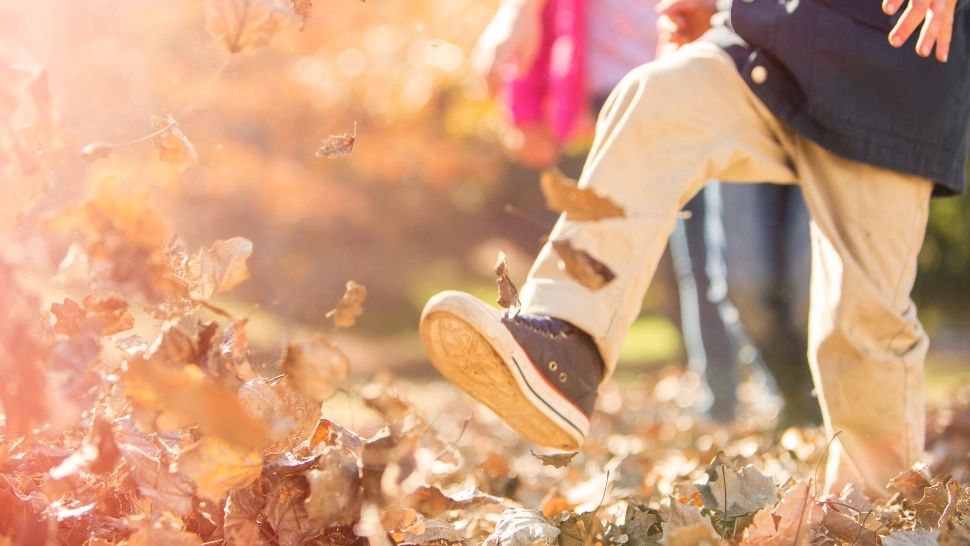 Vremea 28 octombrie. Vreme frumoasă și caldă în majoritatea regiunilor țării. Maxime de până la 27 de grade Celsius