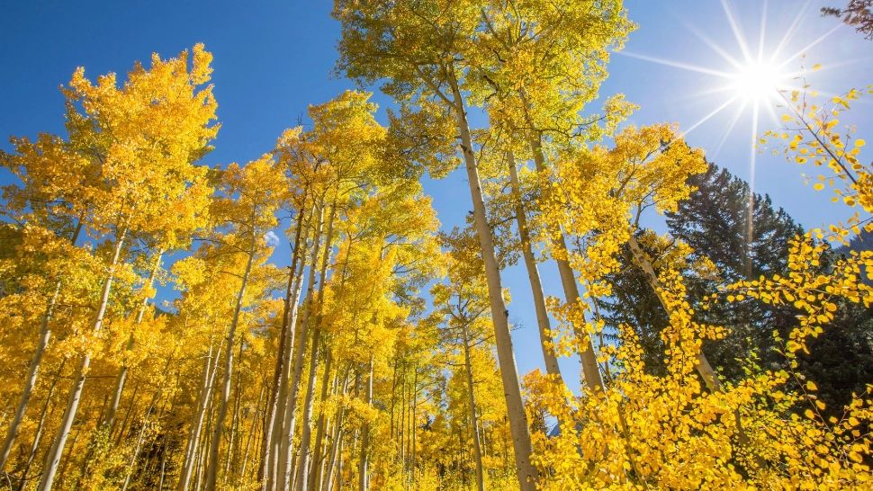 Vremea 30 octombrie. Temperaturile rămân ridicate și astăzi: la ce SCHIMBĂRI se așteaptă meteorologii zilele următoare