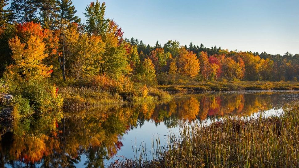 Vremea 18 octombrie. Temperaturile continuă să scadă în termometre. Maximele zilei NU vor depăși mai 18 grade 