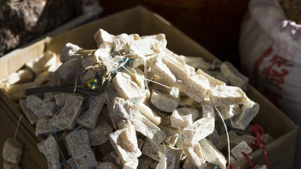 Misterul celui mai vechi tip de brânză din lume, dezlegat prin teste ADN