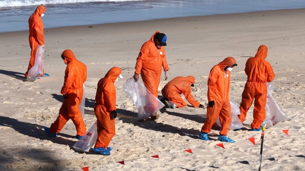 Invazia bilelor negre ia amploare. Autoritățile din Australia au închis alte plaje după aparițiile misterioase