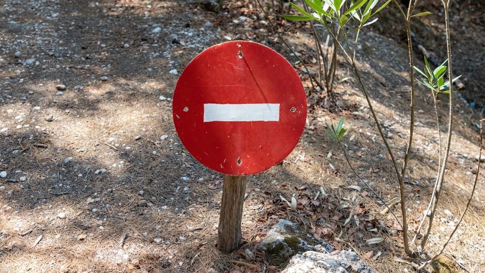 Lege șocantă! Interzis afișarea ființelor vii în mass-media