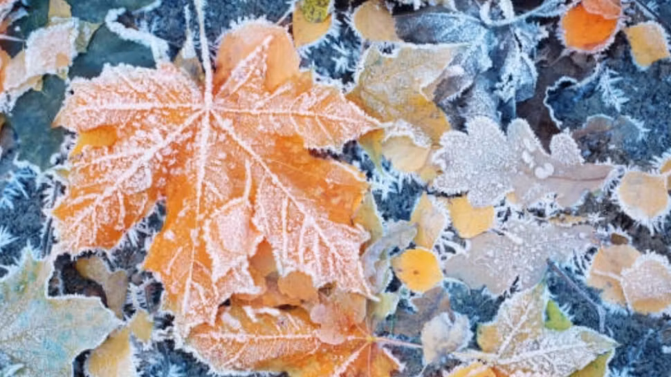 Prognoza METEO de la ANM pentru următoarele 4 săptămâni. Cum va fi vremea în următoarea lună? 