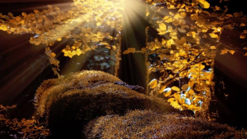 Val de căldură peste România, după ploile abundente. Zonele unde temperatura sare brusc la 27 de grade