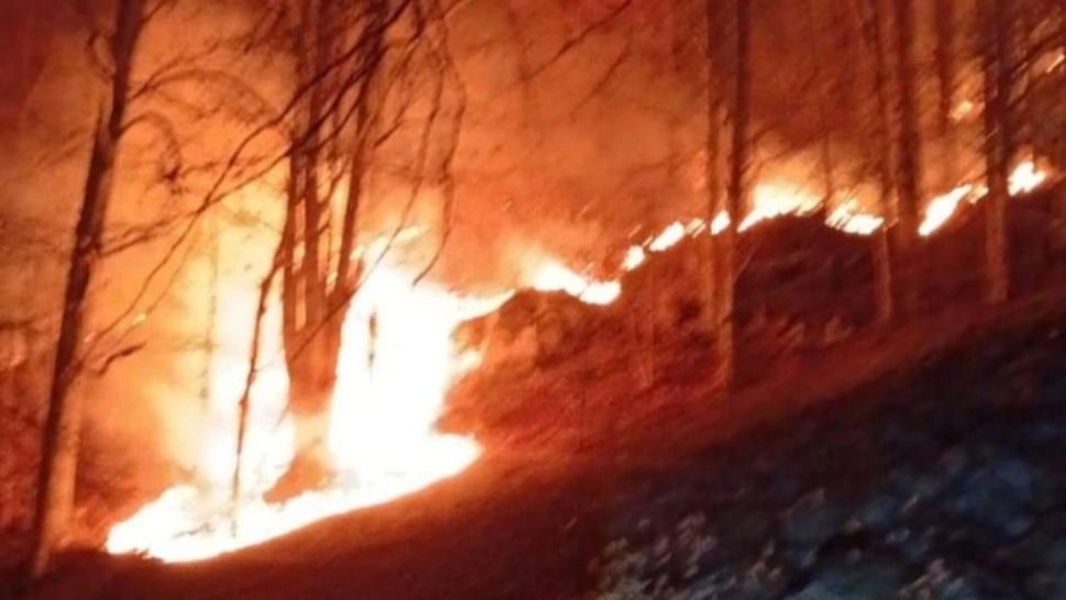 Incendiu uriaș de vegetaţie şi litieră în Maramureș; 10 hectare afectate. Flăcările se apropie de o mănăstire - VIDEO