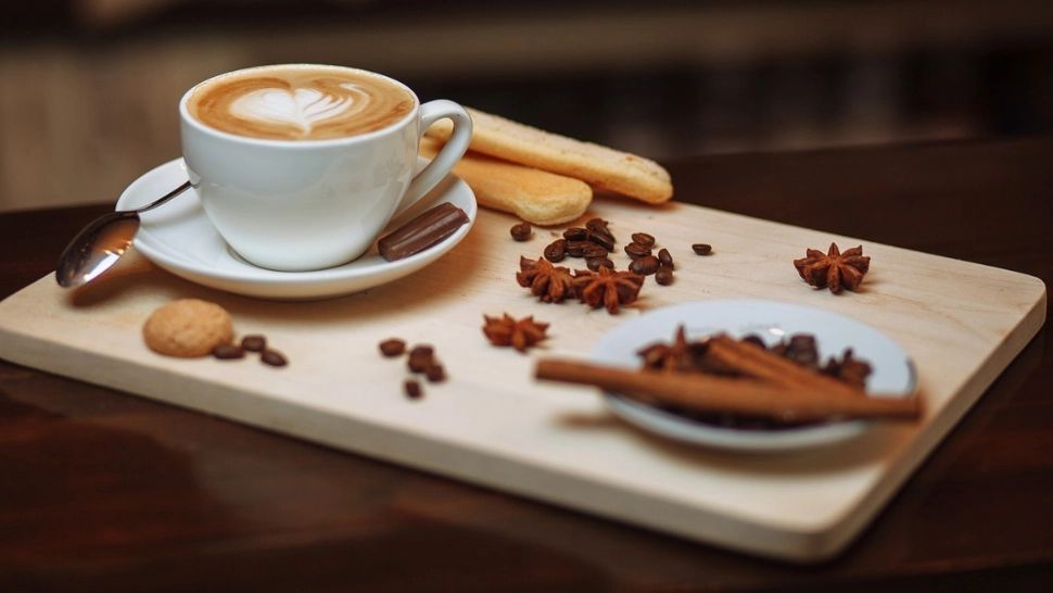 Cocaină extrasă din cafea într-un laborator dintr-o cabană din Bihor: Ce pedepse au primit traficanții