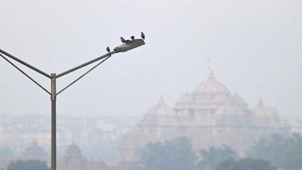 Criză de poluare devastatoare într-un oraș cu 30 de milioane de locuitori: Smogul toxic face victime