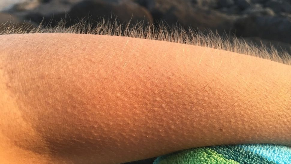 Un semn aparent banal, dar cu mai multe explicații