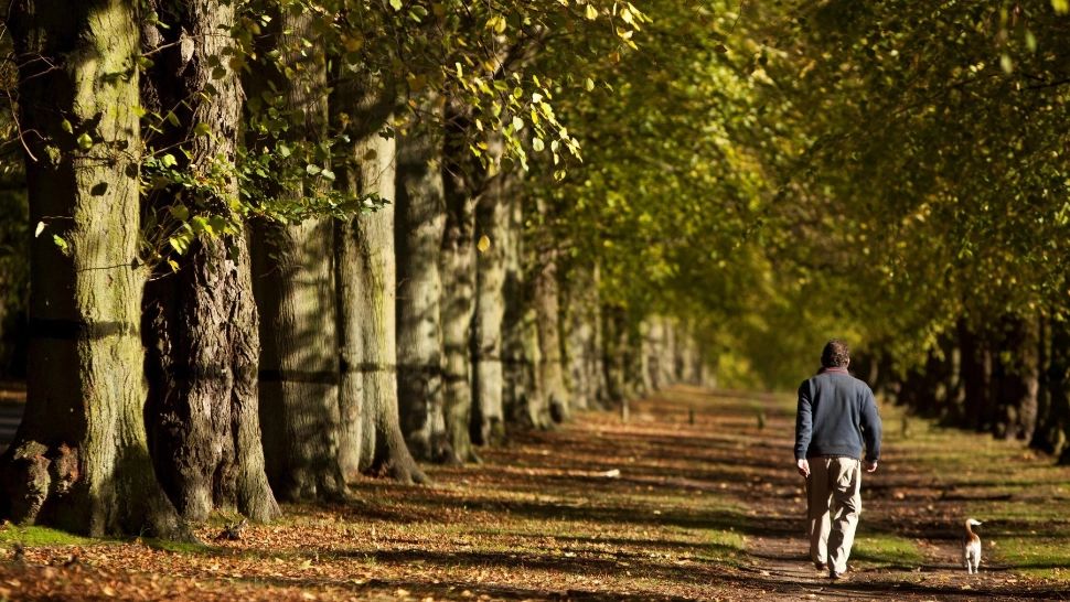 Vremea 1 noiembrie. Zi cu aspect de primăvară la început de noiembrie. Temperaturi maxime de 22 de grade Celsius
