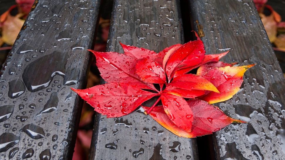 Se răcește vremea în Capitală! Meteorologii anunță ploi, dar nu sunt excluse nici ninsorile: cât de frig va fi 