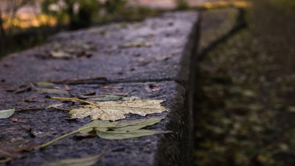 Vremea 7 noiembrie. Se încălzește ușor: maximele și minimele zilei de astăzi