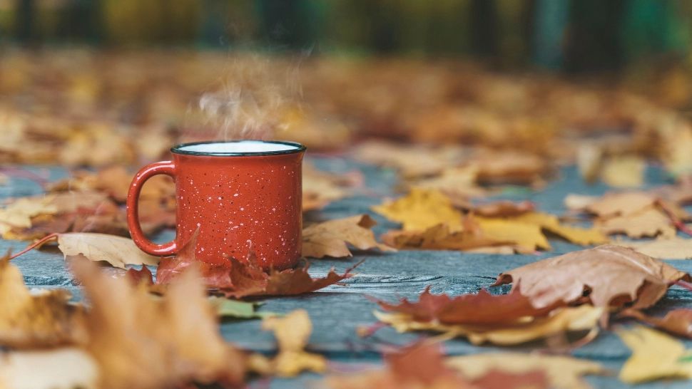 Vremea 6 noiembrie. Temperaturile se apropie de normalul perioadei. La ce valori termice să ne așteptăm astăzi