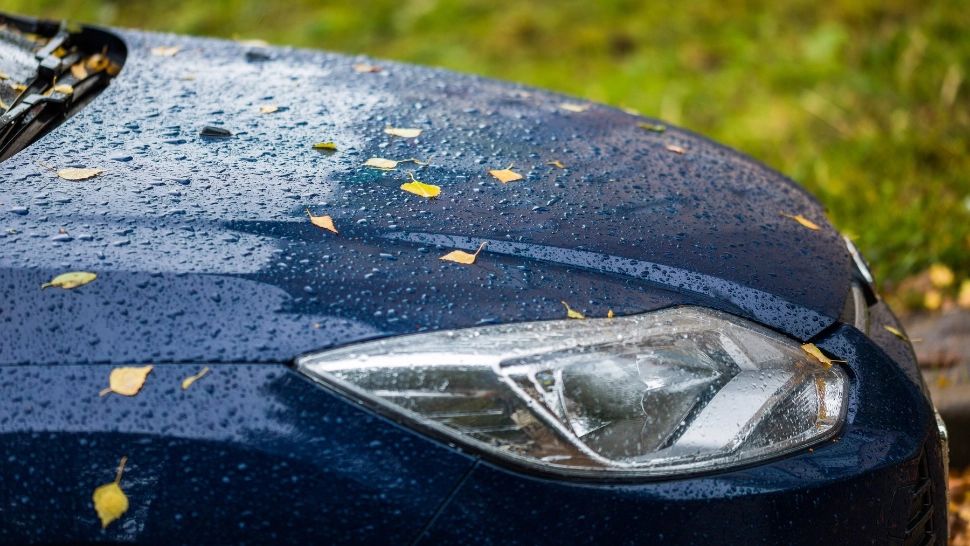 Vremea 19 noiembrie. Temperaturi scăzute și ceață la primele ore ale dimineții: care sunt maximele zilei 