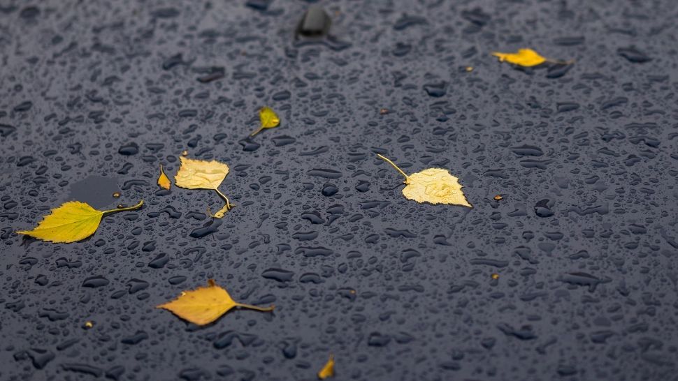 Vremea 11 noiembrie. Frig și ploaie în mare parte din țară. Unde ninge astăzi, conform ANM