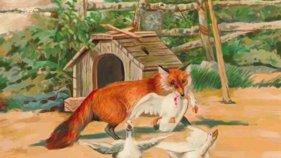 Testul agilității supreme. Poți să găsești câinele ascuns în doar 10 secunde? 