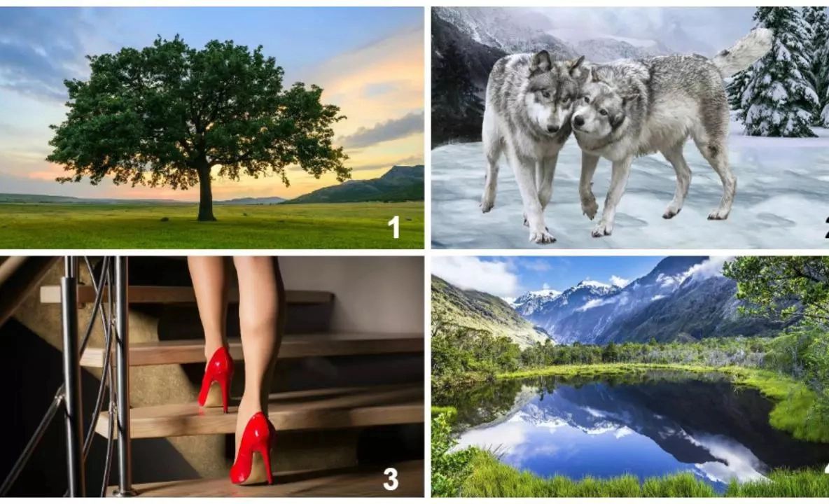 Testul infidelității: Află secretul relației tale prin imaginea care te atrage cel mai mult