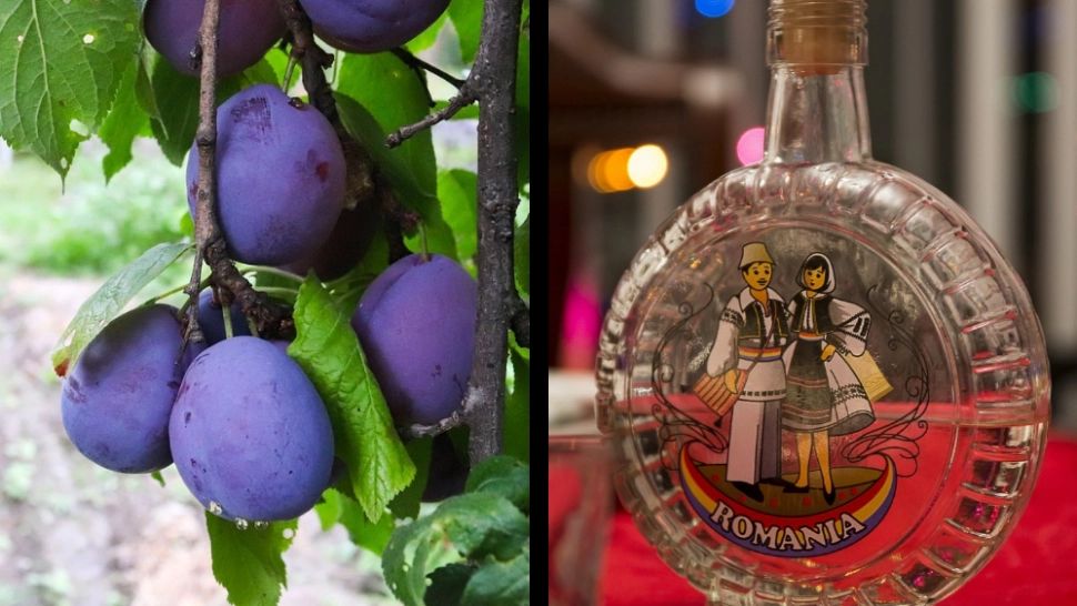 De ce beau românii țuică fiartă. Ce beneficii are această licoare strămoșească. Cu ce condimente trebuie să o combini pentru a-i potența efectele