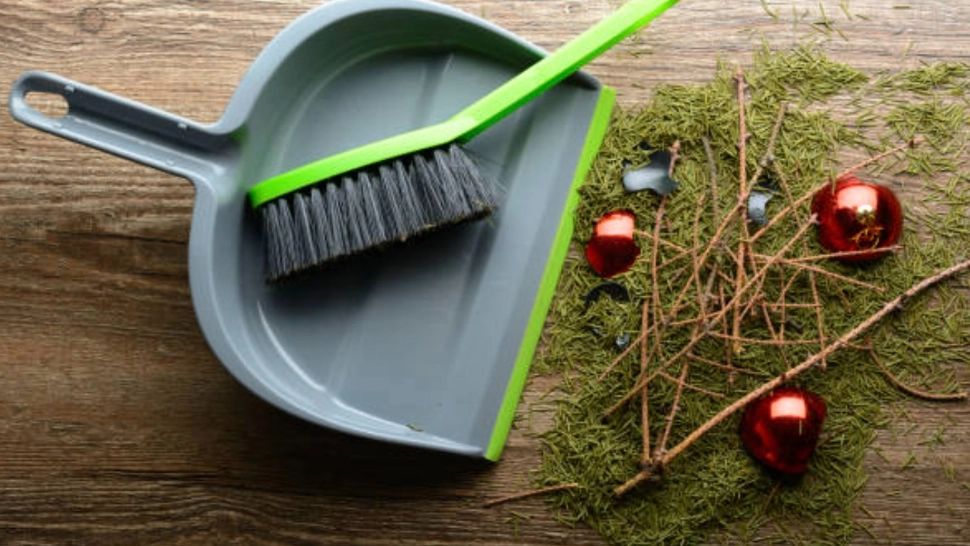 Cum alegi bradul de Crăciun ca să reziste cât mai mult. Trucul simplu care îl păstrează verde până în noaptea de Anul Nou!