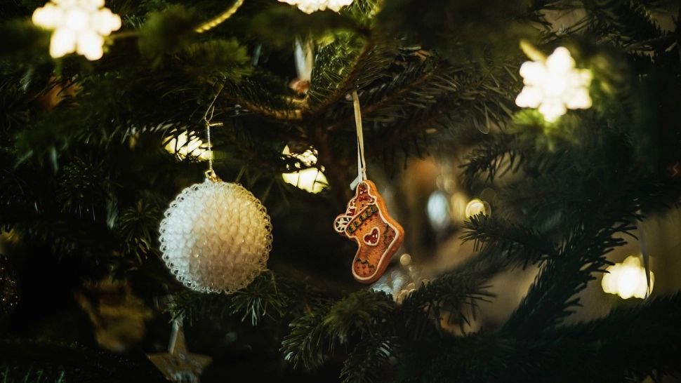  Zodiile care își petrec sărbătorile de iarnă în singurătate. Nativii au parte de un Crăciun 2024 diferit