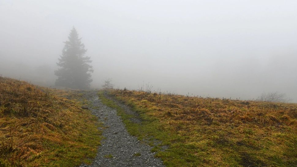 Vremea 19 decembrie. Temperaturi pozitive și vreme cu aspect de primăvară, la final de decembrie. Maxime de până la 16 grade