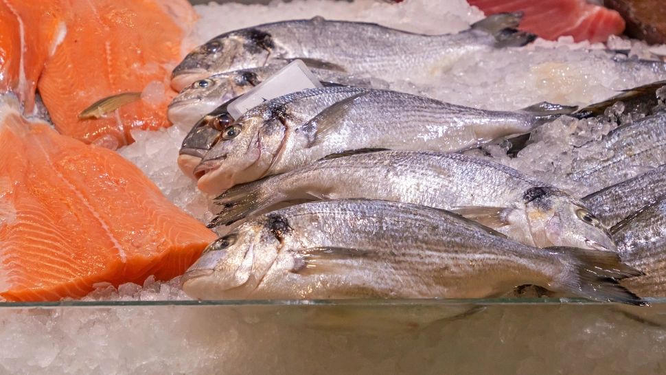 Peștele cu carnea cea mai toxică: mulți români îl consumă, deși poate să le provoace grave probleme de sănătate. Ce nu știu oamenii 