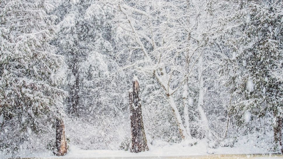 Solstițiul de iarnă 2024. Când este cea mai SCURTĂ ZI din an: explicații astronomice