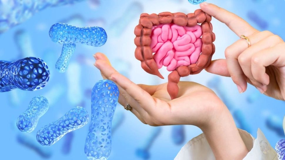 Un gastroenterolog dezvăluie ce trebuie să mâncăm pentru sănătatea intestinului și a ficatului