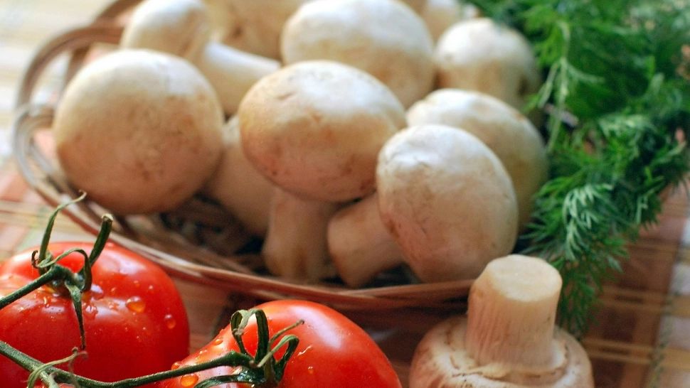 Unde se depozitează corect ciupercile și cât timp se pot păstra