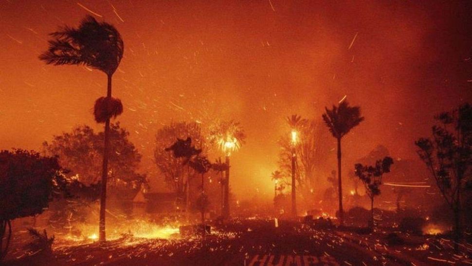 Mărturiile unei românce despre catastrofa din Los Angeles: „Oamenii alergau pe străzi!”