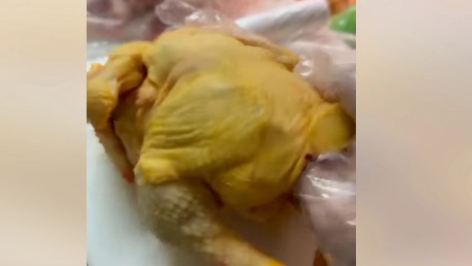 Pui vopsiți în galben și vânduți ca fiind de la țară, în piețele din România! Alertă uriașă  - VIDEO