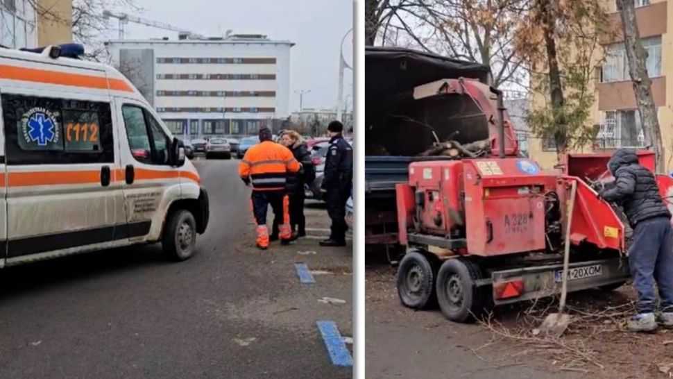 Doctoriță RĂNITĂ, pe o stradă din Timișoara! Femeia s-a trezit cu o creanga în cap: avertismentul pe  care l-a ignorat