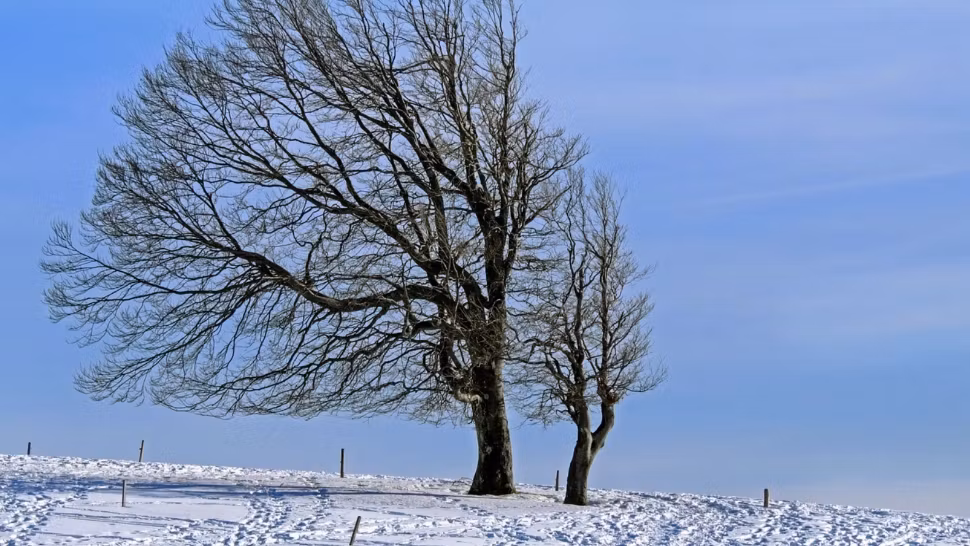 Schimbare bruscă a vremii! Ninsori semnificative și vânt puternic până sâmbătă: noua prognoză ANM