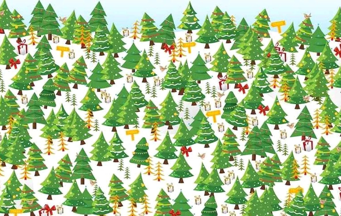 Crăciunul a trecut, decorațiunile rămân! Test de inteligență în 7 secunde: doar geniile pot găsi repede steaua dintre brazi
