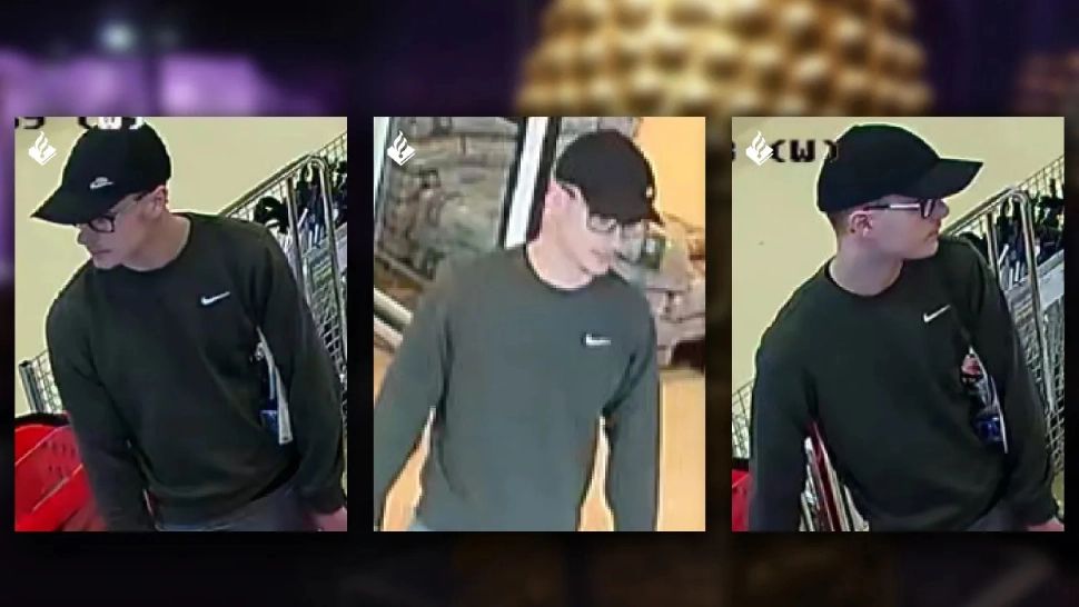 Procurorului general Alex Florența a discutat cu omologul olandez despre furtul tezaurului dacic. Poliția olandeză a difuzat o FOTOGRAFIE cu un suspect