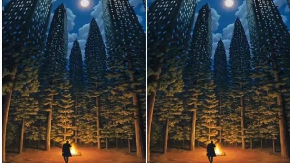 Care este scopul tău în viață. Acest test descifrează mesajele subconștientului 