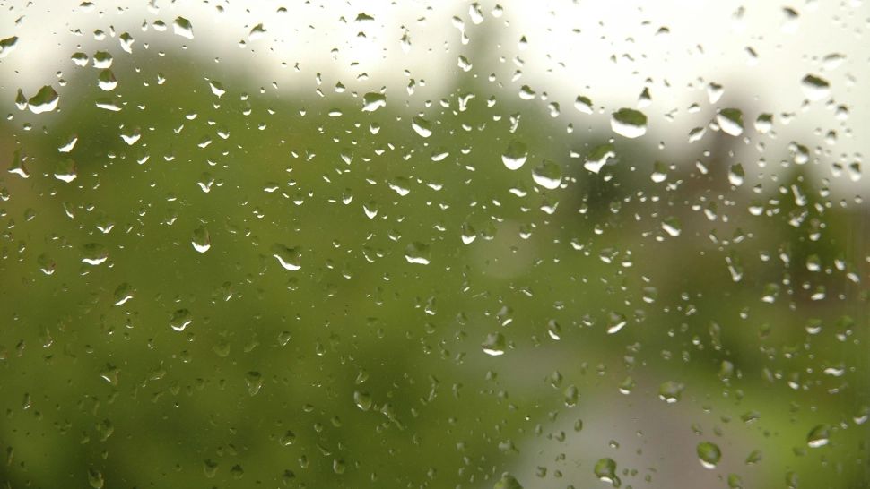 Vremea 30 ianuarie. Temperaturi neobișnuit de ridicate și astăzi. Unde sunt așteptate ploi