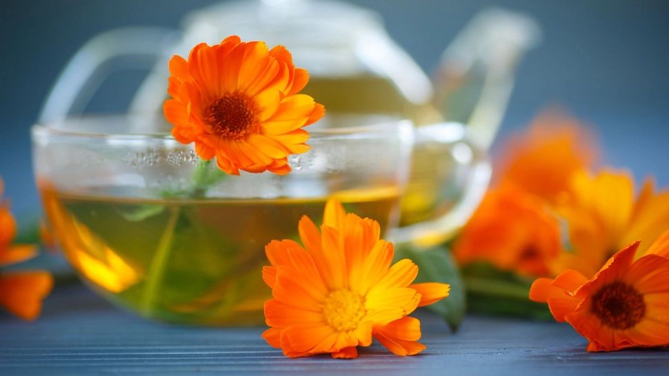 Ceaiurile care fac minuni în cazul GASTRITEI: îți iau rapid durerea 