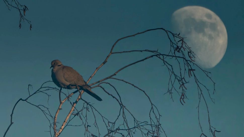 "Gerul Bobotezei" riscă să devină istorie! Temperaturi de până la 14 grade pe 6 și 7 ianuarie: prognoza ANM pentru săptămâna următoare