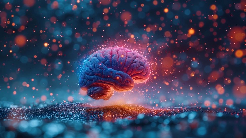 Sănătatea creierului, stimulată printr-un exerciți de memorie uimitor. Durează doar un minut: încearcă-l și tu!