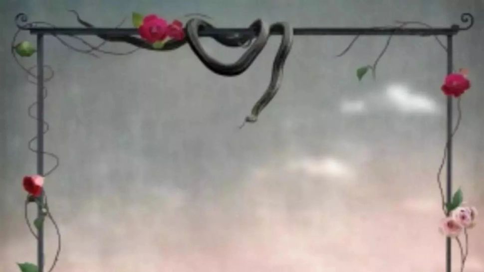 Află cine este cel mai mare dușman al tău. Testul Șarpelui descifrează mesajul subconștientului  