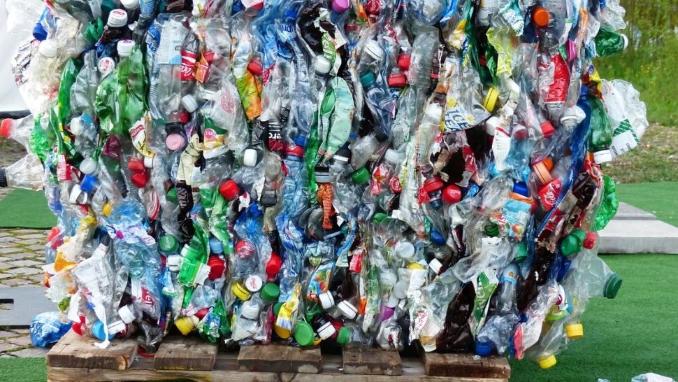 Măsura care ar putea scumpi uleiul și laptele din România. Noul ministru de la Mediu a luat-o deja în calcul