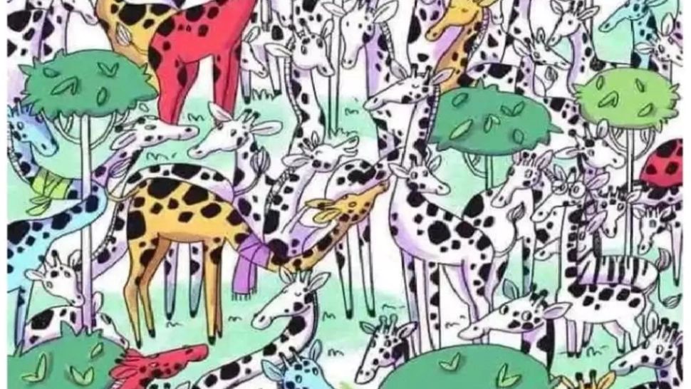 Testul vânătorului suprem: Poți să găsești zebra ascunsă printre girafe în doar 5 secunde? Doar cei cu ochi de șoim sunt capabili de o astfel de performanță
