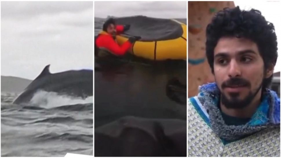 Adrian a fost înghițit de o balenă, chiar sub privirile tatălui său. Povestea expusă în Pinocchio a devenit realitate - VIDEO