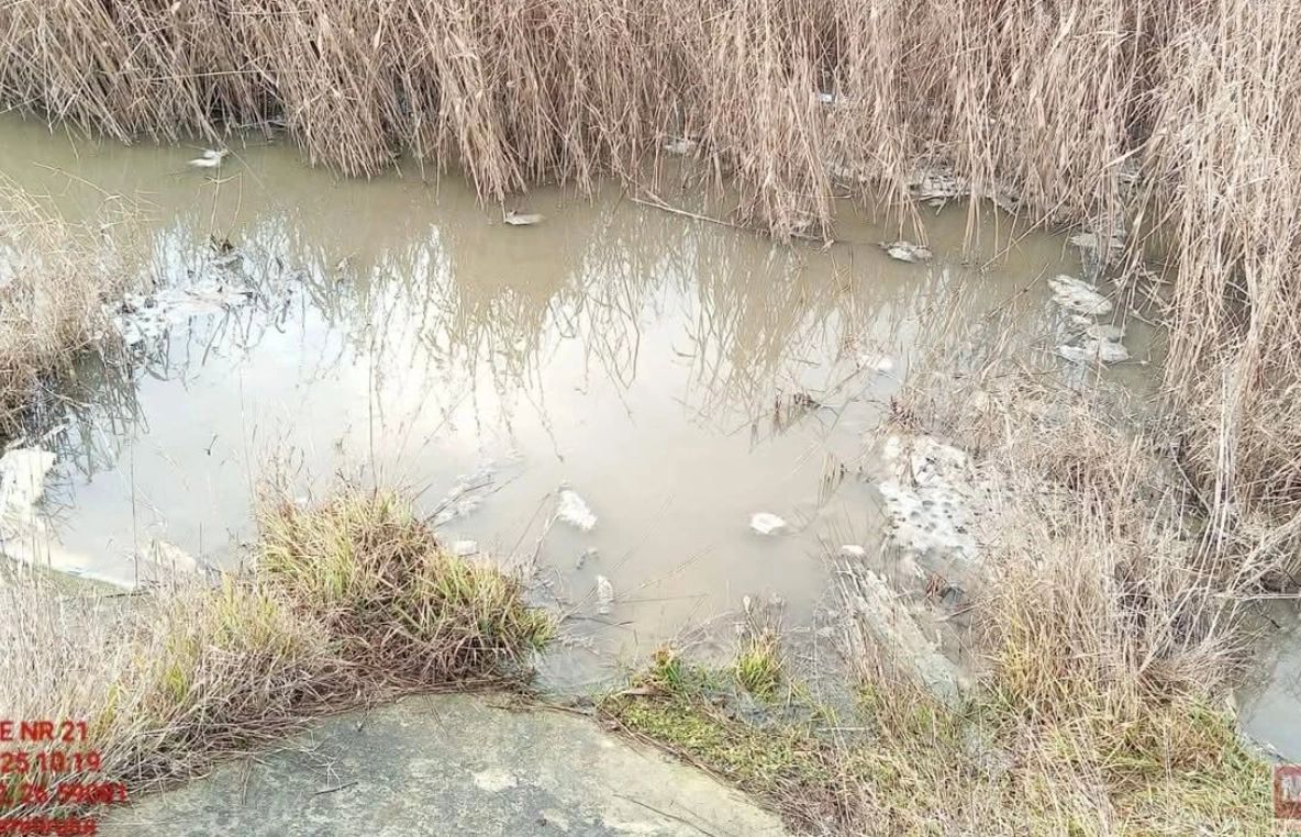 Poluare cu amoniac, într-un râu din Botoșani. Stațiile de epurare, sursa contaminării - amendă uriașă 