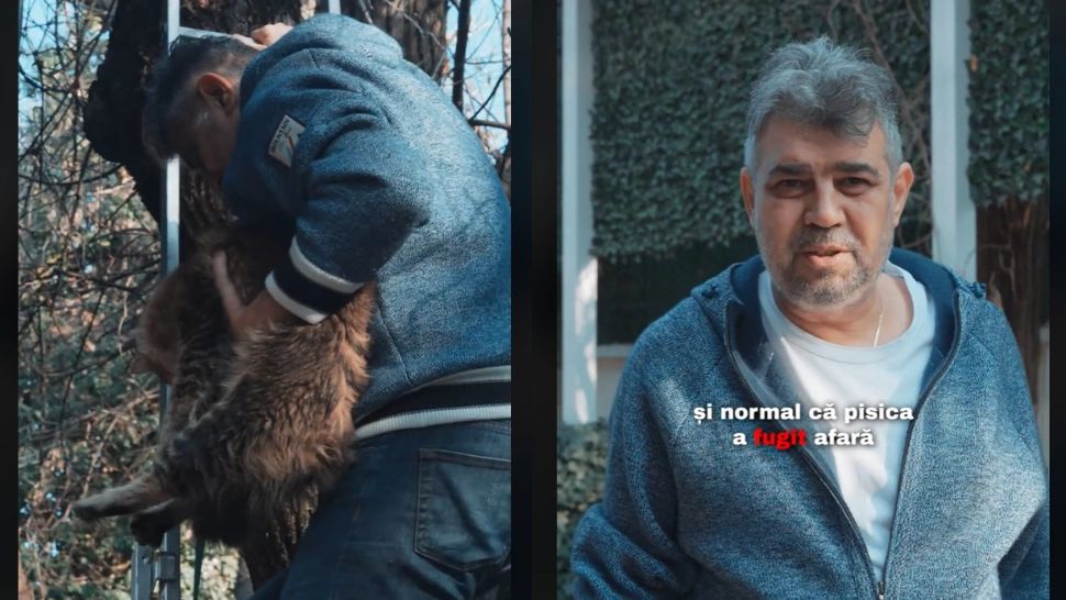  Ciolacu s-a transformat în cățărător de ocazie ca să își salveze pisica și să-și mai îmbunătățească imaginea publică 