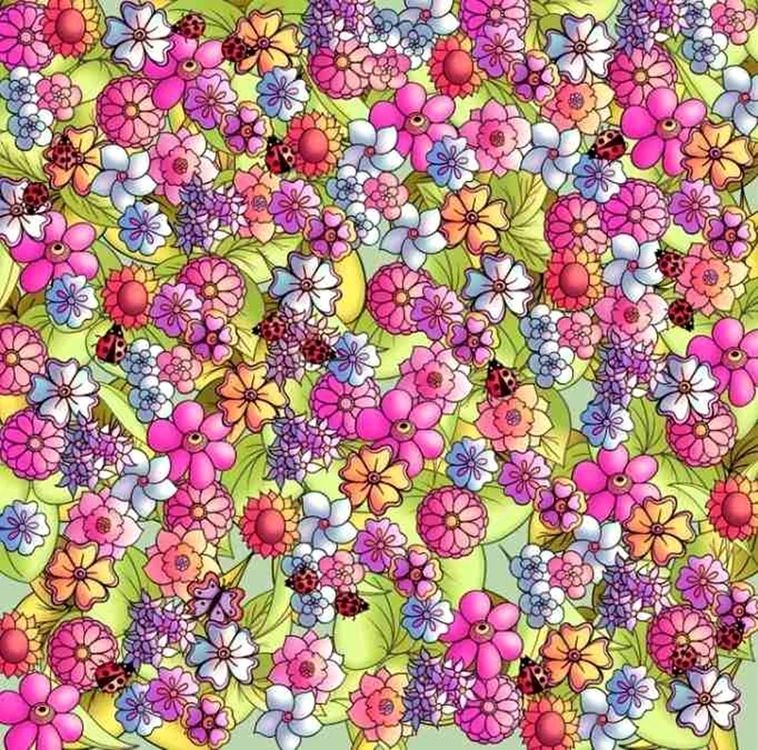 Testul de inteligență care le dă mari bătăi de cap românilor: doar 25% dintre ei găsesc fluturele ascuns printre flori