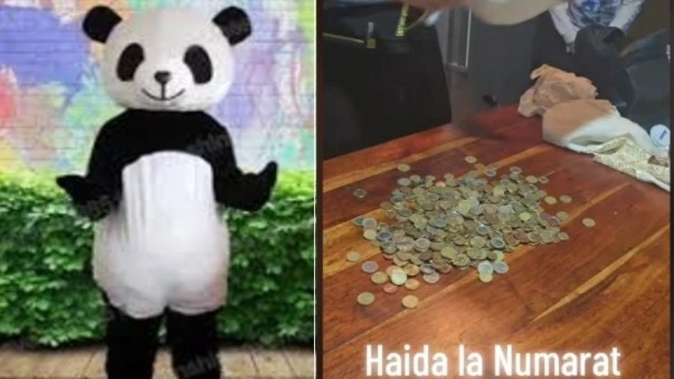Câți bani face un român îmbrăcat în costum de urs panda în Italia. „Oamenii donează o grămadă. Poliția te lasă în pace, n-are treabă cu tine”